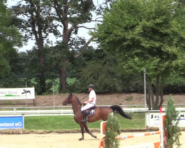 Reitturnier Coesfeld/Lette 2020
