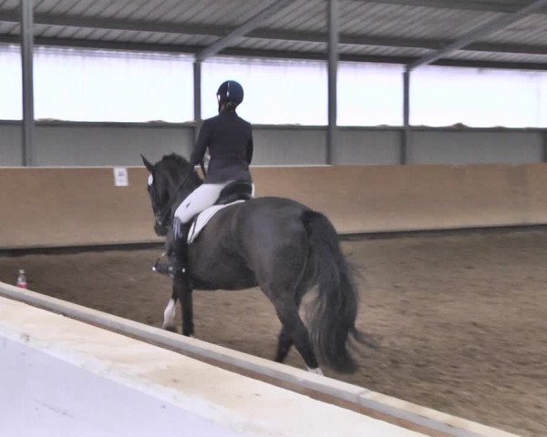 Reitturnier Reitanlage Birkenhof, Perl-Sinz 2020