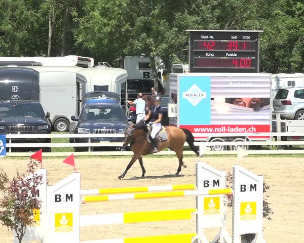 Reitturnier Aesch (Neftenbach) 2020