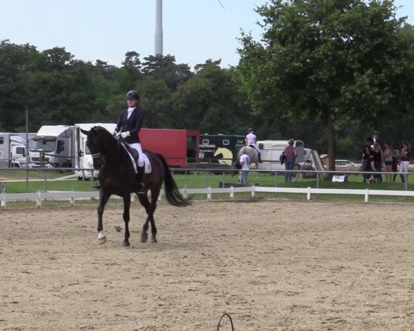 Reitturnier Coesfeld/Lette 2020