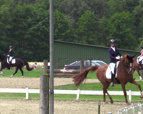 Reitturnier Coesfeld/Lette 2020