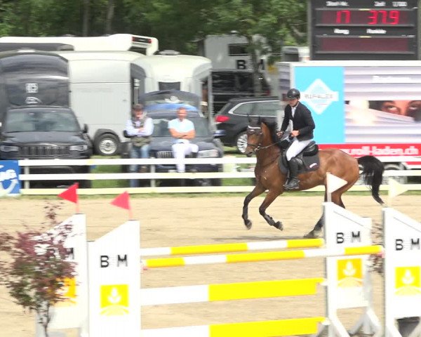 Reitturnier Aesch (Neftenbach) 2020