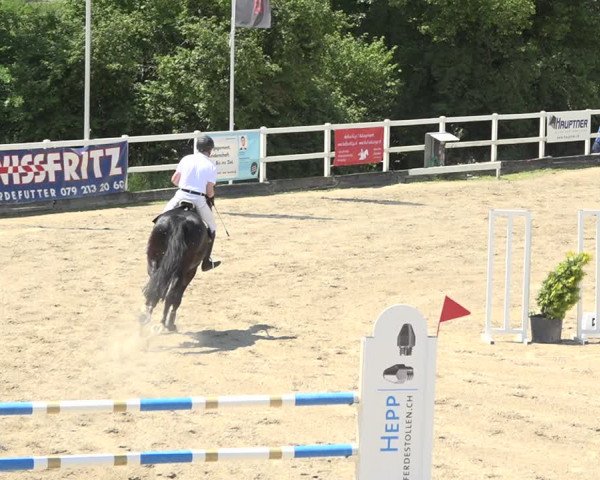 Reitturnier Aesch (Neftenbach) 2020