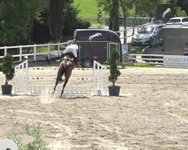 Reitturnier Aesch (Neftenbach) 2020
