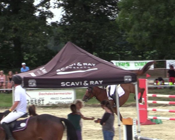 Reitturnier Coesfeld/Lette 2020