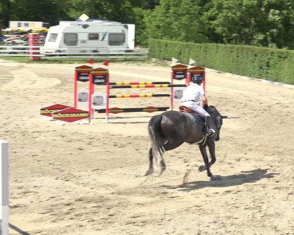 Reitturnier Aesch (Neftenbach) 2020