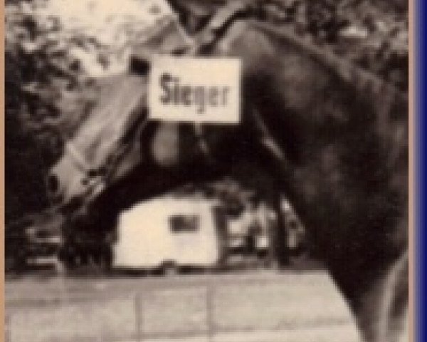 broodmare Forelle (Westphalian, 1960, from Firn)