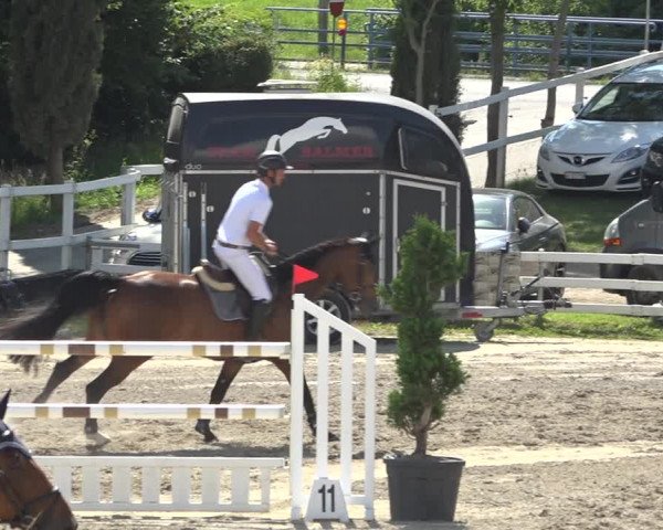 Reitturnier Aesch (Neftenbach) 2020