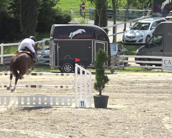 Reitturnier Aesch (Neftenbach) 2020