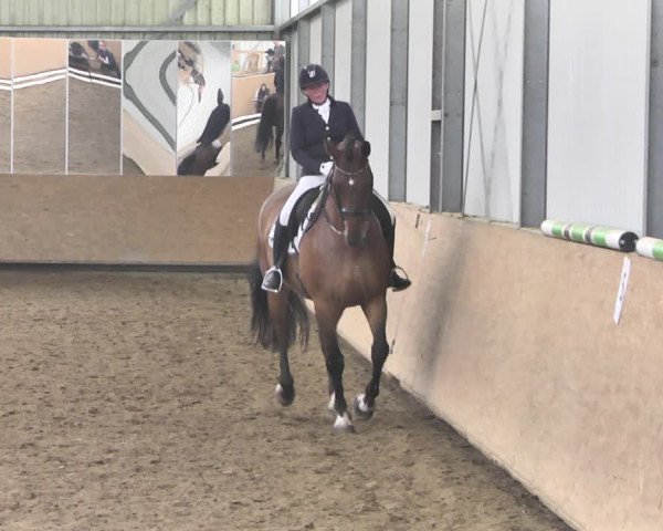 Reitturnier Reitanlage Birkenhof, Perl-Sinz 2020