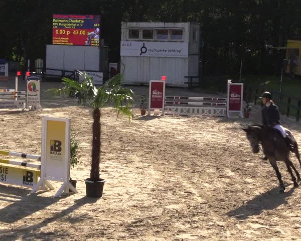 Dressur- und Springturnier Ochtrup 2021