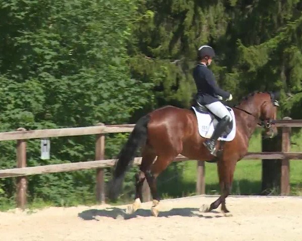 Reitturnier Birkenreuth/Ofr. 2020