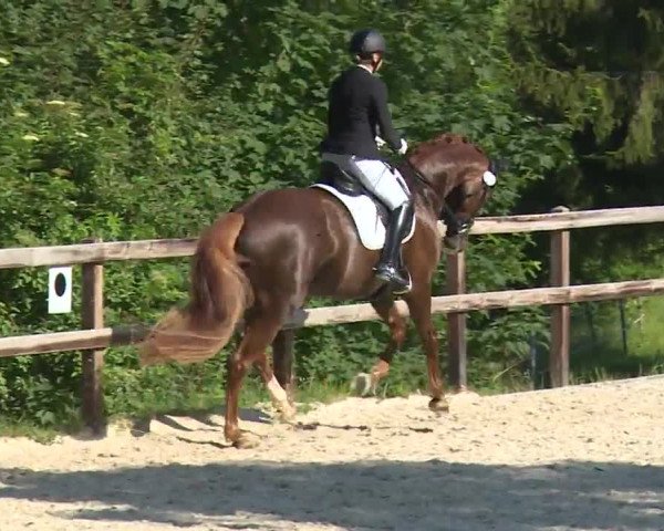 Reitturnier Birkenreuth/Ofr. 2020