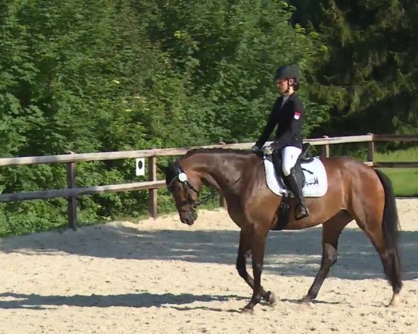 Reitturnier Birkenreuth/Ofr. 2020