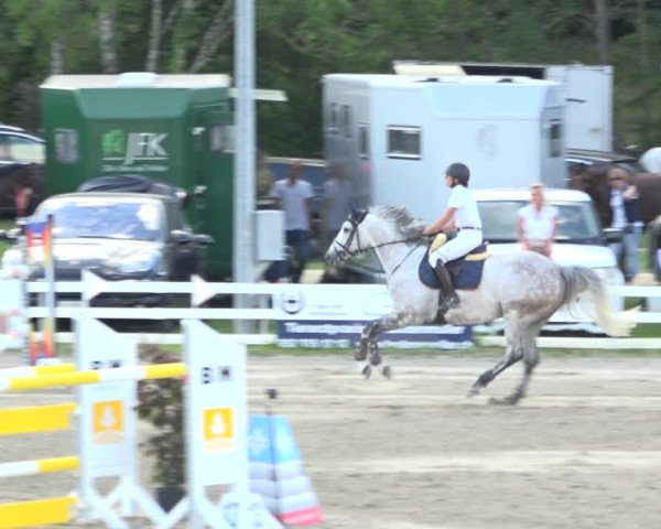 Reitturnier Aesch (Neftenbach) 2020