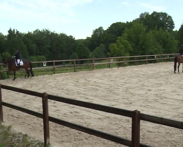 Reitturnier Birkenreuth/Ofr. 2020