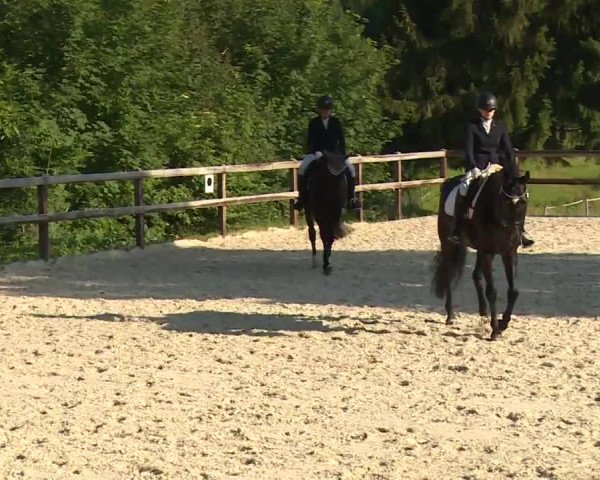 Reitturnier Birkenreuth/Ofr. 2020