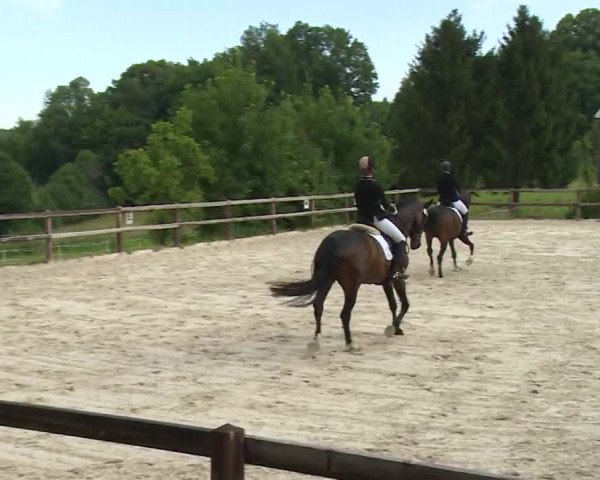 Reitturnier Birkenreuth/Ofr. 2020
