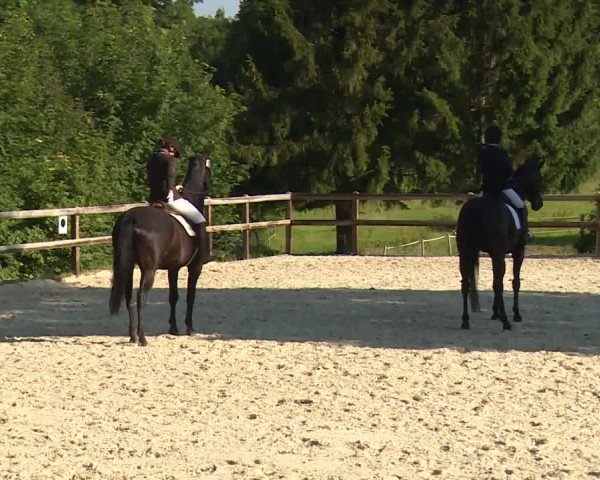 Reitturnier Birkenreuth/Ofr. 2020