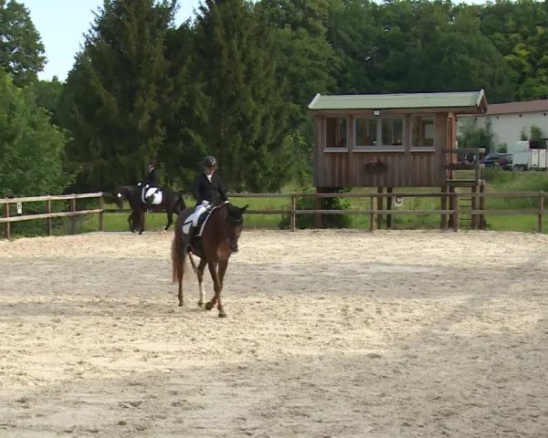 Reitturnier Birkenreuth/Ofr. 2020