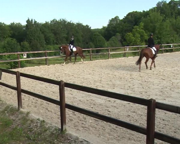 Reitturnier Birkenreuth/Ofr. 2020