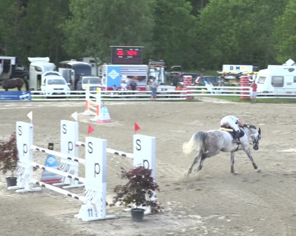 Reitturnier Aesch (Neftenbach) 2020