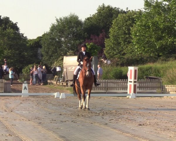 Reitturnier Schülp / Rendsburg 2020