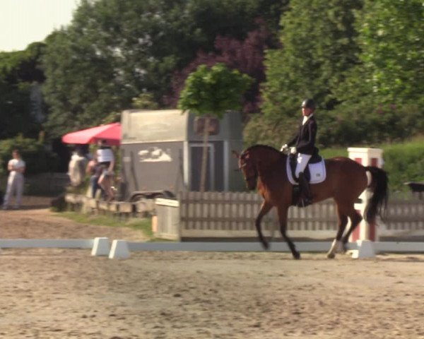 Reitturnier Schülp / Rendsburg 2020