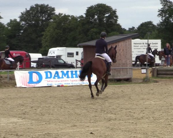 Reitturnier Coesfeld/Lette 2020