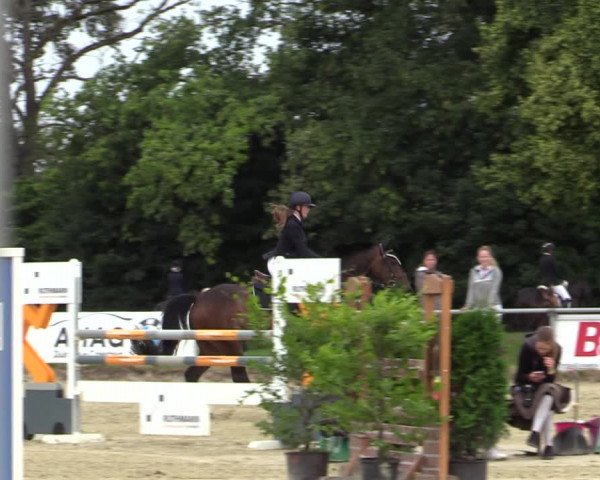 Reitturnier Coesfeld/Lette 2020