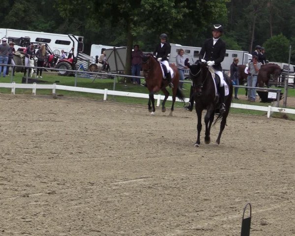 Reitturnier Coesfeld/Lette 2020