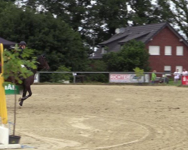 Reitturnier Coesfeld/Lette 2020