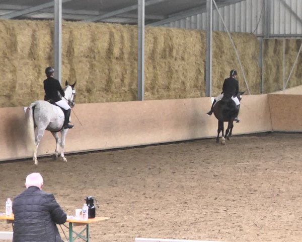 Reitturnier Reitanlage Birkenhof, Perl-Sinz 2020
