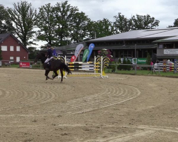 Reitturnier Coesfeld/Lette 2020
