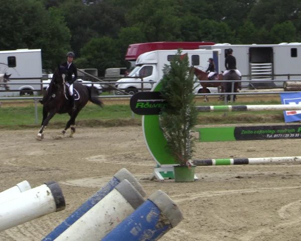 Reitturnier Coesfeld/Lette 2020