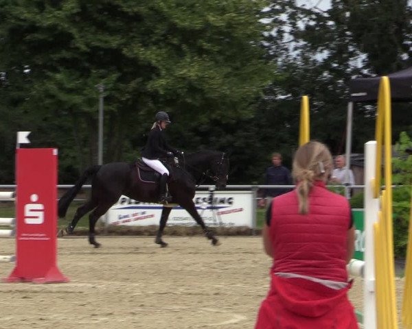 Reitturnier Coesfeld/Lette 2020