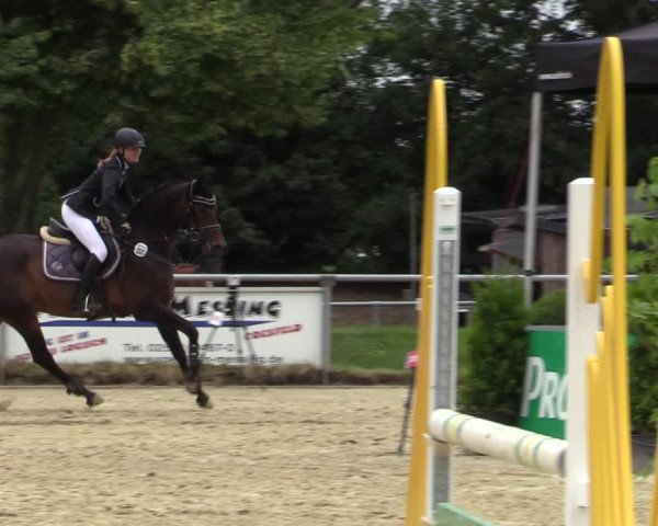 Reitturnier Coesfeld/Lette 2020