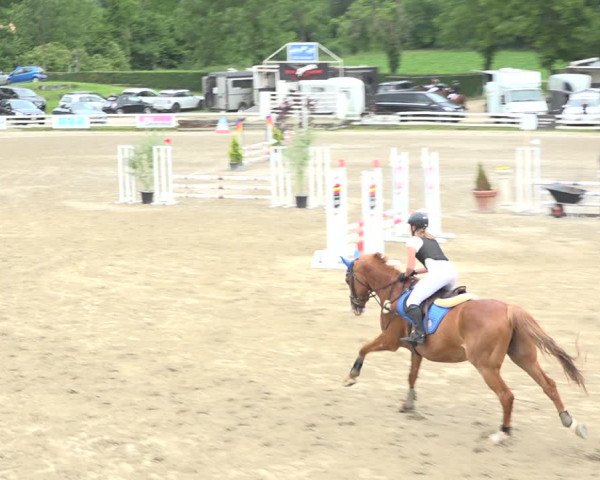 Reitturnier Aesch (Neftenbach) 2020