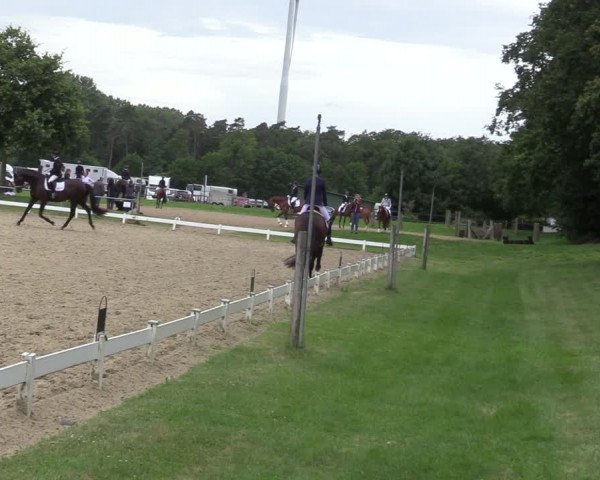 Reitturnier Coesfeld/Lette 2020