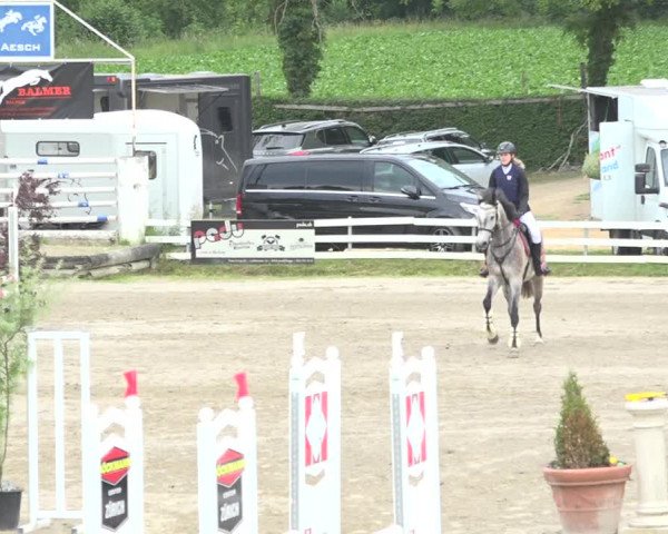 Reitturnier Aesch (Neftenbach) 2020