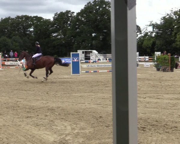 Reitturnier Coesfeld/Lette 2020
