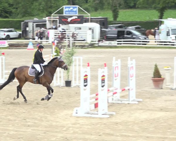 Reitturnier Aesch (Neftenbach) 2020