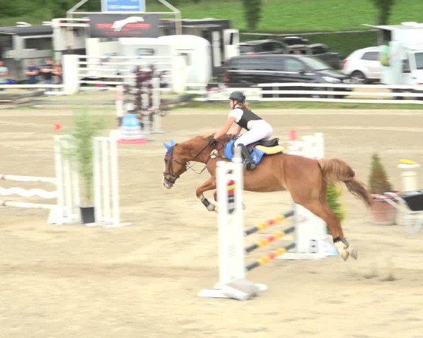 Reitturnier Aesch (Neftenbach) 2020