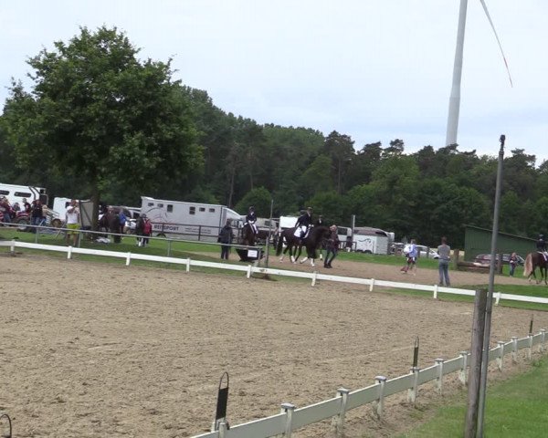 Reitturnier Coesfeld/Lette 2020