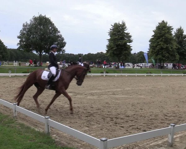 Reitturnier Coesfeld/Lette 2020