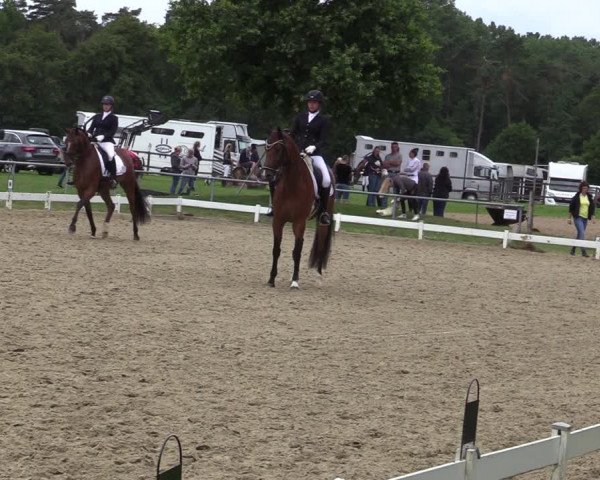 Reitturnier Coesfeld/Lette 2020