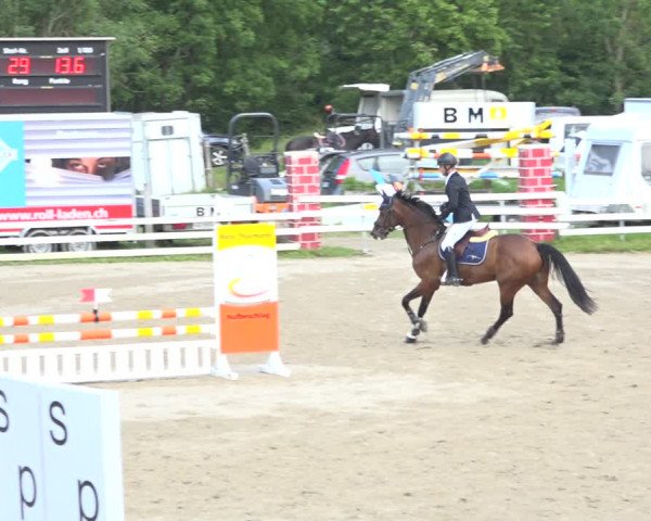 Reitturnier Aesch (Neftenbach) 2020