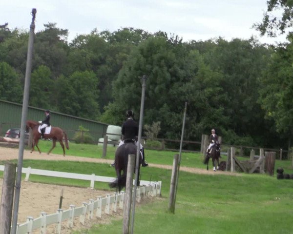 Reitturnier Coesfeld/Lette 2020