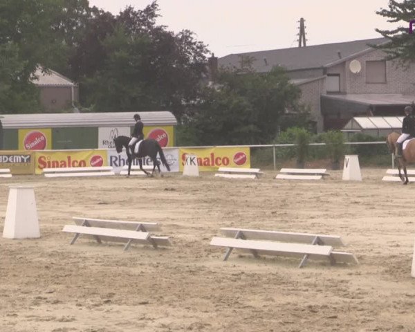 Reitturnier Hünxe-Bruckhausen 2020