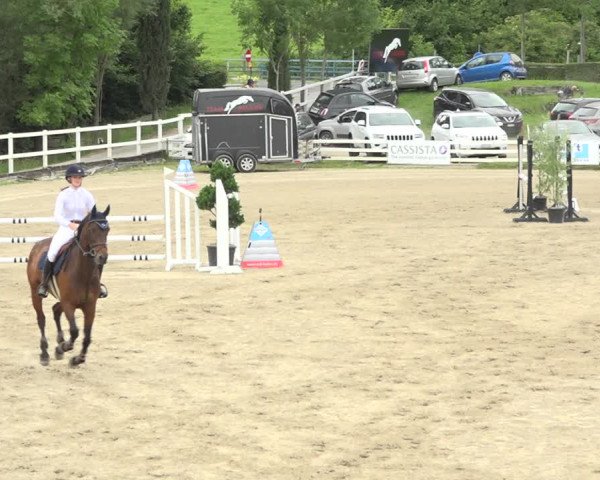 Reitturnier Aesch (Neftenbach) 2020